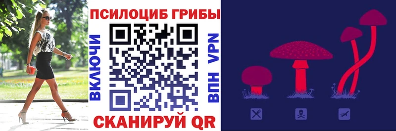 Псилоцибиновые грибы Psilocybine cubensis  купить закладку  Данков 