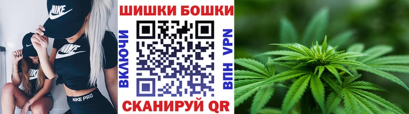 MEGA как войти  продажа наркотиков  Данков  Бошки Шишки сатива 